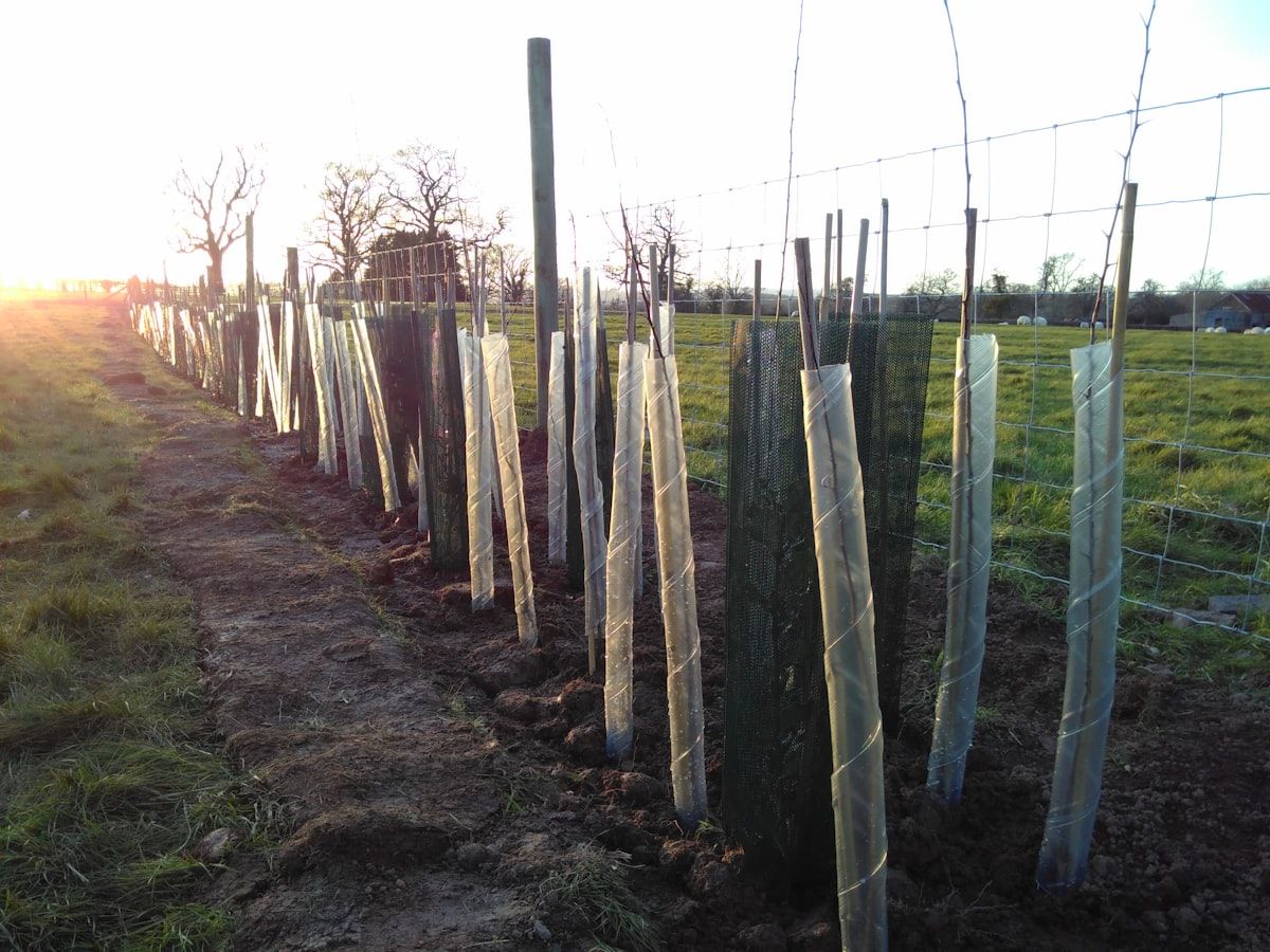 A gate installation site with freshly poured concrete footings, steel posts being set in place, cable trenches open beside the driveway, and a sloped crossover with drainage visible near the opening.
